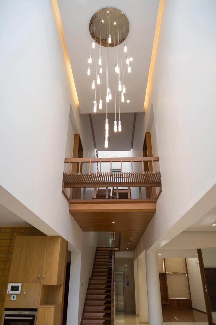 Dollars colony — image 10