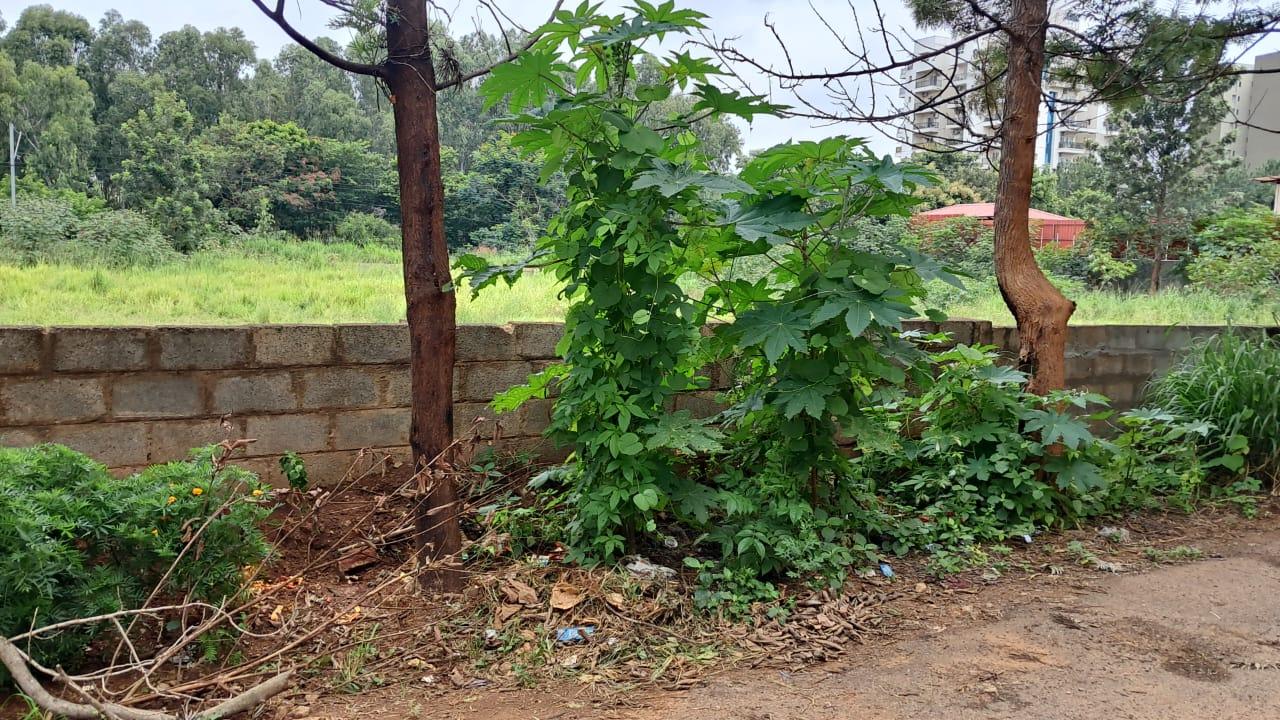 Residential land Yashoda Nagar — image 3